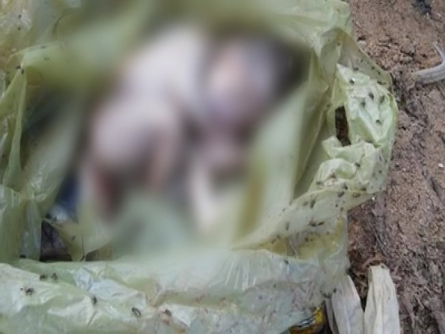 Mais um recm-nascido  encontrado morto dentro de saco plstico em lixo