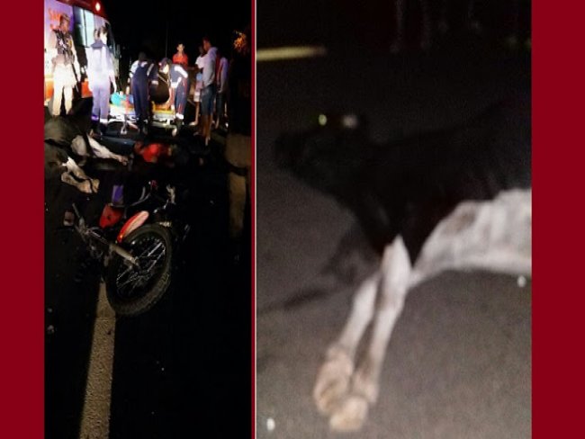 Motociclista morre ao atropelar vaca em Juazeiro