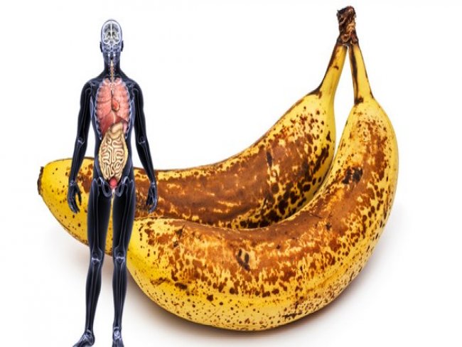 Bananas envenenadas so encontradas em Valena, e prefeitura faz campanha contra ataques a macacos
