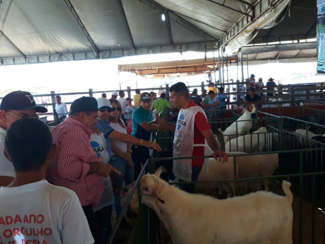 Caprishow 2018- Deputado Federal Adalberto Cavalcanti visitou a feira de caprinos e ovinos do municpio de Dormentes