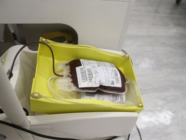 No Dia Mundial do Doador de Sangue, Hemope pede apoio para reforar estoques para festas juninas
