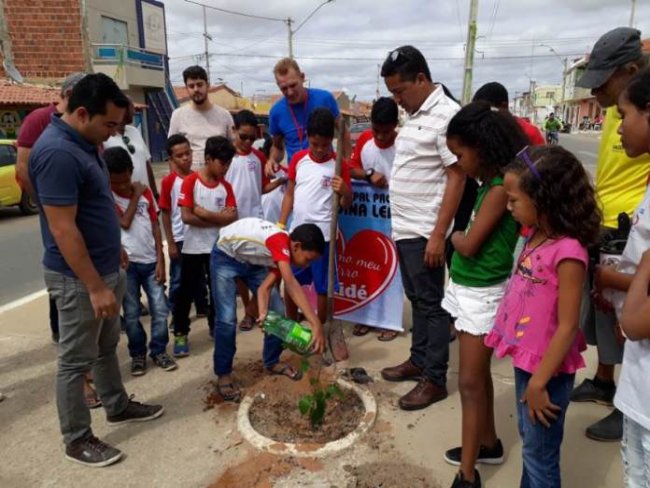 Populao de Juazeiro pode adquirir mudas junto  prefeitura para ajudar a arborizar a cidade