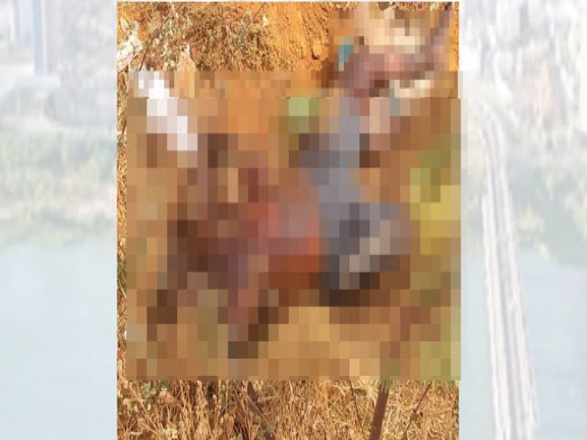 Corpo de homem  encontrado em matagal em distrito de Juazeiro
