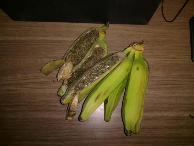 Bananas recheadas com maconha so encontradas durante revista em cadeia pblica do Serto de PE