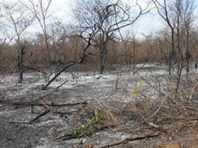 Serto: Idoso morre na zona rural de Tabira quando colocava fogo em broca