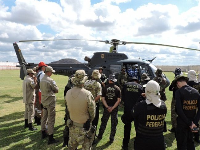 Polcia Federal atravs de sua delegacia em Salgueiro - realiza erradicao de cerca de 125 mil ps de maconha e evita a produo de 42 toneladas da droga dentro da Operao Macambira IV