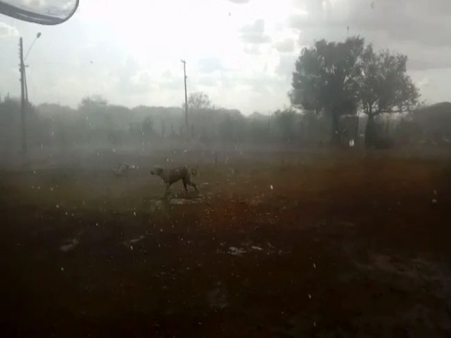 Chuva de granizo assusta moradores de rea rural em Belm do So Francisco-PE