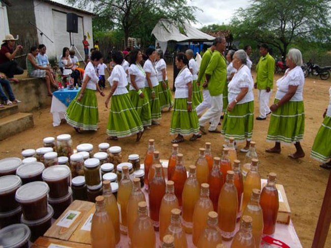 Sexta edio da Festa do Umbu ser realizada neste final de semana em Parnamirim, PE