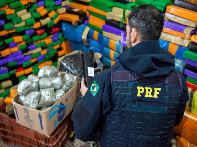 PRF no Paran bate recorde histrico em apreenso de maconha