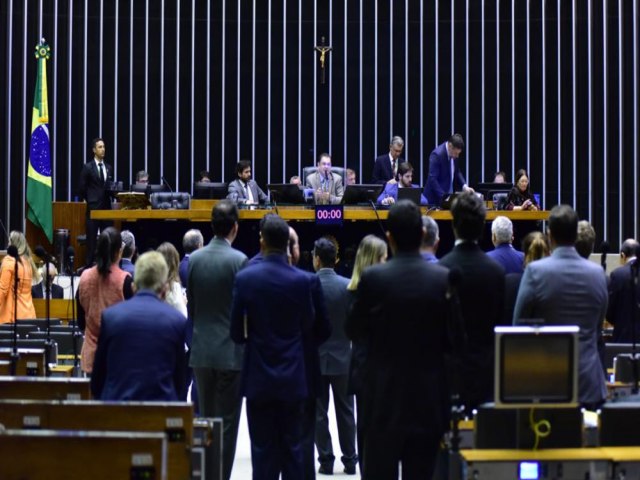 Cmara dos Deputados aprova fim da linguagem neutra
