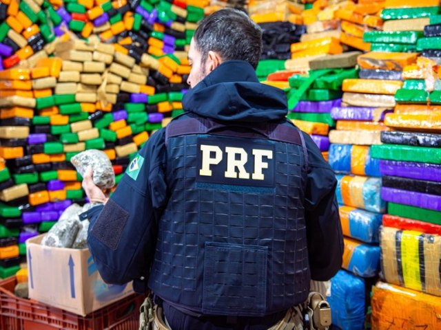 PRF apreende 195 toneladas de drogas em 2023 no Paran e bate recorde histrico