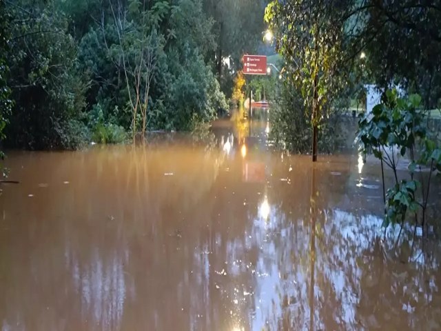 Vdeo: Rio Uruguai transborda em SC com acumulado de 202 mm em 24h 