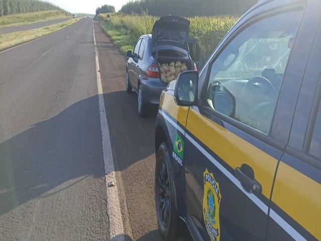 Presa mulher transportando 300 quilos de maconha no noroeste do Paran