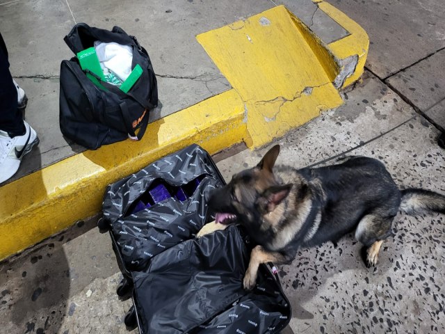 Preso passageiro com mala contendo maconha na Rodoviaria Internacional de Foz