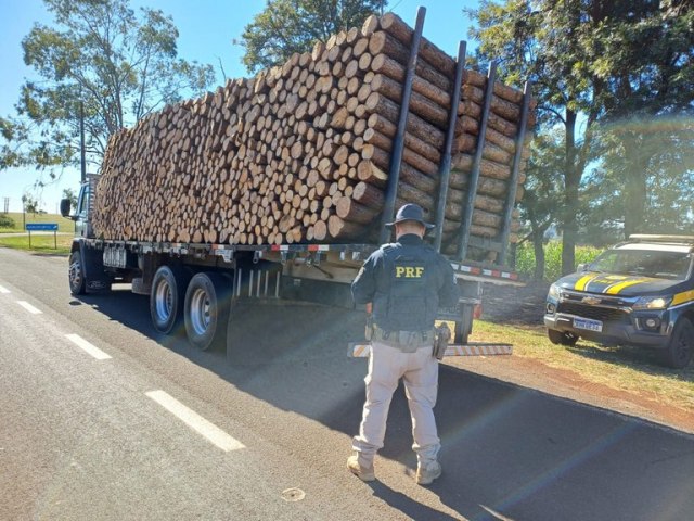 Flagra: caminho transportando carga de madeira sem amarrao no Paran