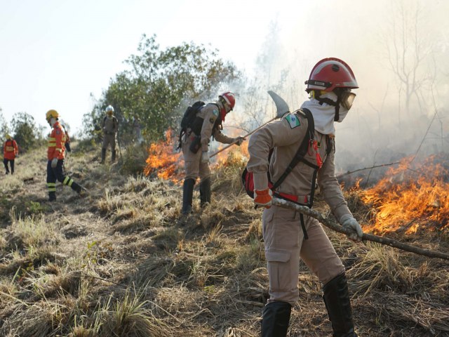 Bombeiros prestaram mais de 63 mil atendimentos no 1 semestre; incndios cresceram