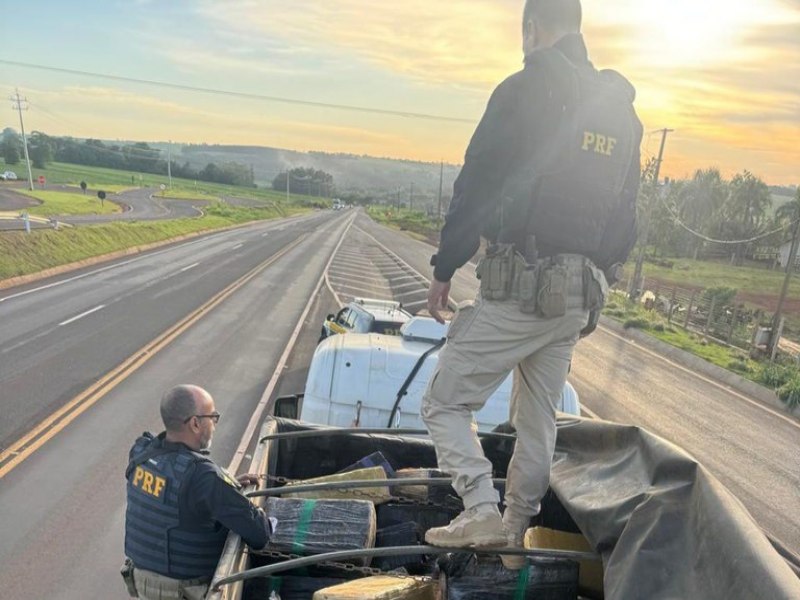 Apreendidas mais de cinco toneladas de maconha em Marechal Cndido Rondon (PR)