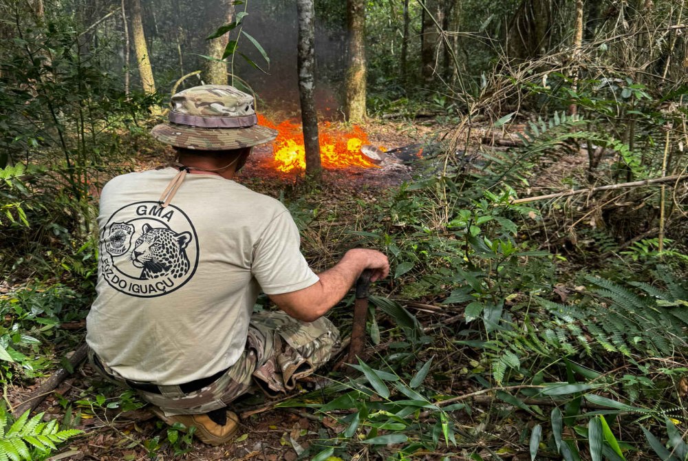 Crimes ambientais: fiscaliza��o destr�i cevas e acampamentos usados por ca�adores no Parque Nacional