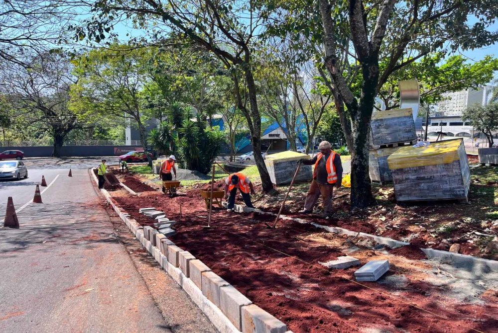 Revitaliza��o em andamento: �rvores ser�o removidas para abertura de ciclovia na JK