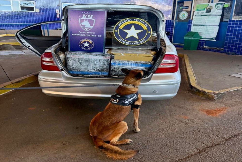 Motorista abandona ve�culo carregado com maconha e foge para o Paraguai