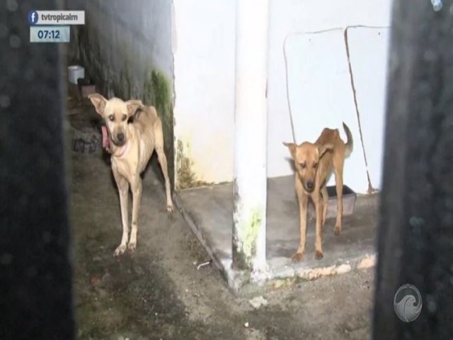Situao deprimente: Cachorros abandonados so resgatados na zona Oeste de Natal