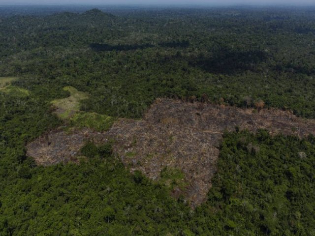 Em duas semanas, desmatamento na Amaznia j bate recorde para fevereiro