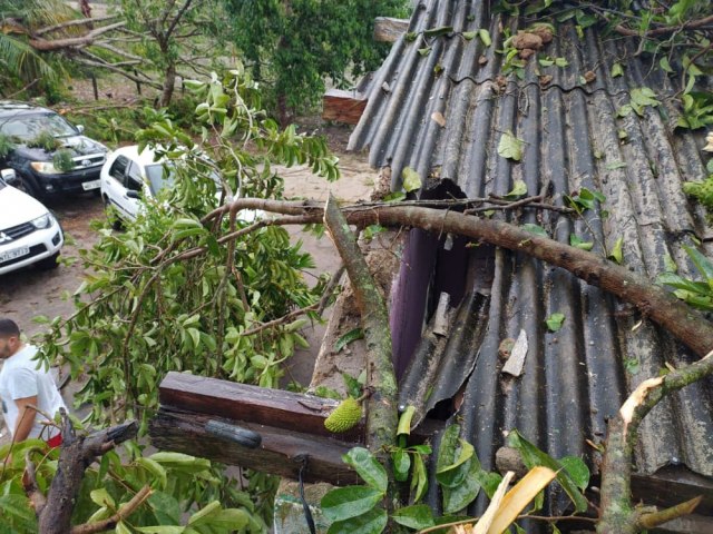 Chuva de granizo deixa rastro de destruio em Vila Juazeiro, interior de Ibirapu