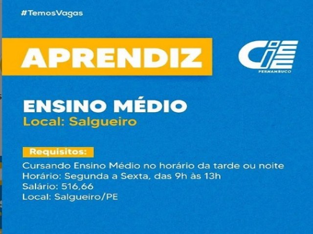 CIEE-PE divulga vaga de jovem aprendiz em Salgueiro com salrio de R$ 516,66 por ms
