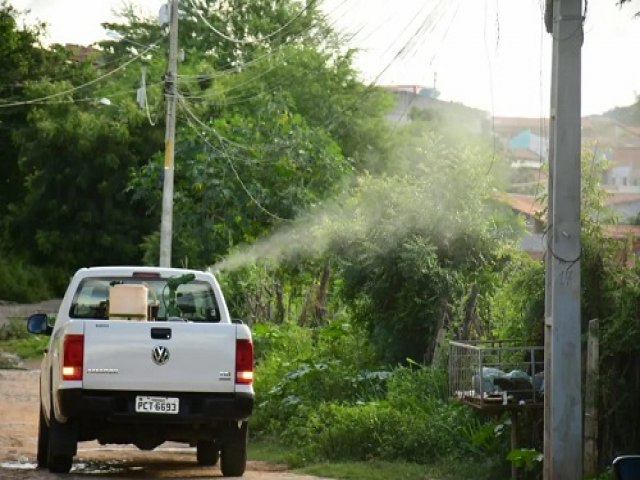 Ttulo da NoCarro fumac combate infestao de mosquitos Aedes aegypti e muriocas em Salgueirotcia