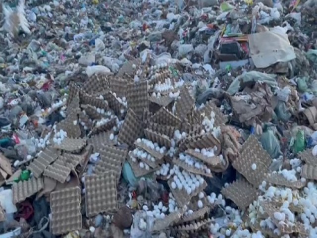 TCE-PE pune membros da Prefeitura de Salgueiro por milhares de ovos jogados no lixo