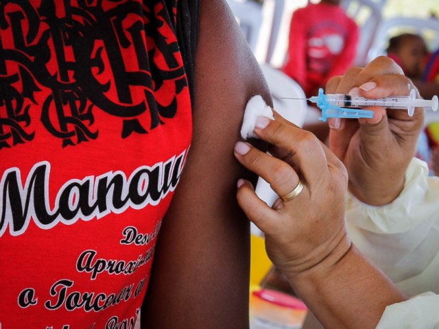 Vacinas: Brasil recebe 11 milhes de doses em fevereiro e 46 milhes em maro