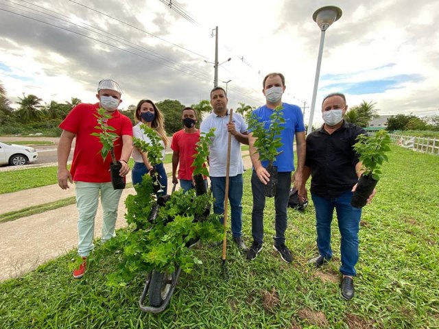 Cear-Mirim: arborizao e paisagismo