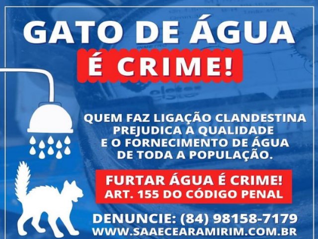 GATO DE GUA: As consequncias desse crime
