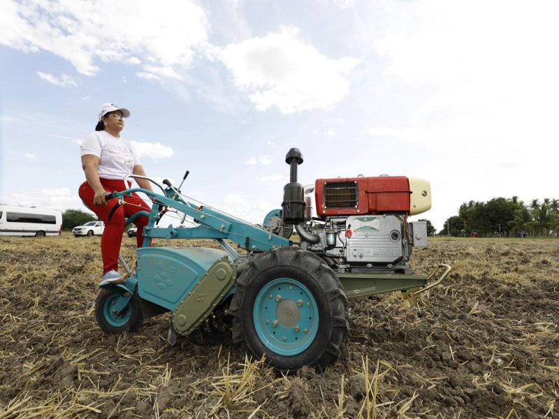 Acordo viabiliza caminho sustentvel para agricultura familiar e agronegcio no RN