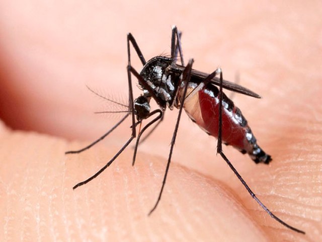Casos de dengue no Rio Grande do Norte aumentam em 27%, segundo dados da Sesap