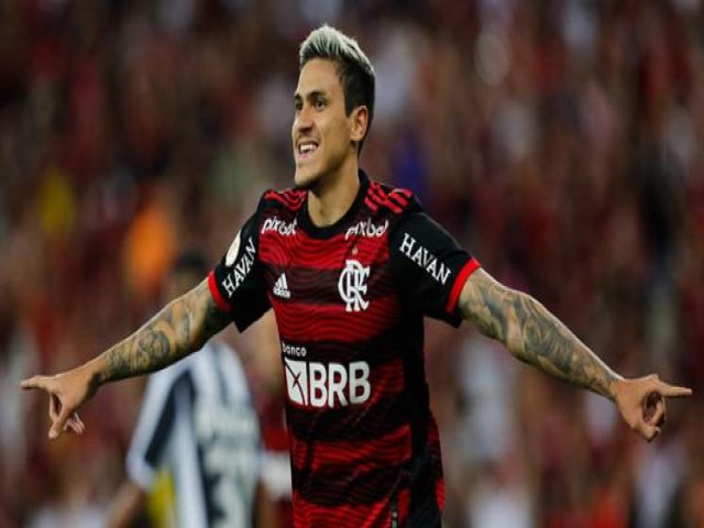 CBF suspende rbitro e VAR de jogo do Santos com o Flamengo