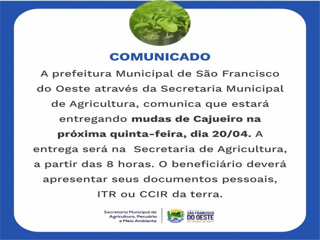SO FRANCISCO DO OESTE/RN: prefeitura - Secretaria Municipal de Agricultura, entregar mudas de Cajueiro amanh (20/04/2023)