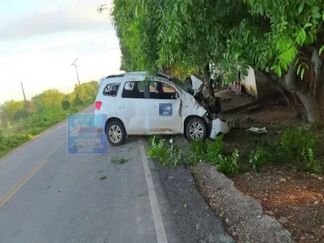 VECULO DA PREFEITURA DE GUAMAR COLIDE EM ANIMAL NA RN 118, ZONA RURAL DE IPANGUAU