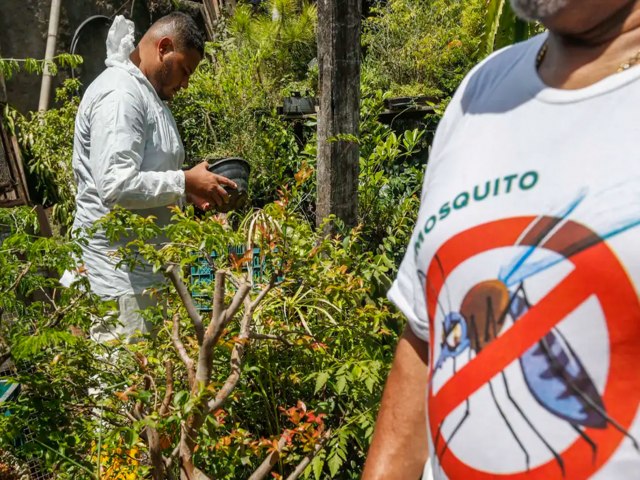 Brasil registra mais de 2 milhes de casos de dengue e 682 bitos confirmados
