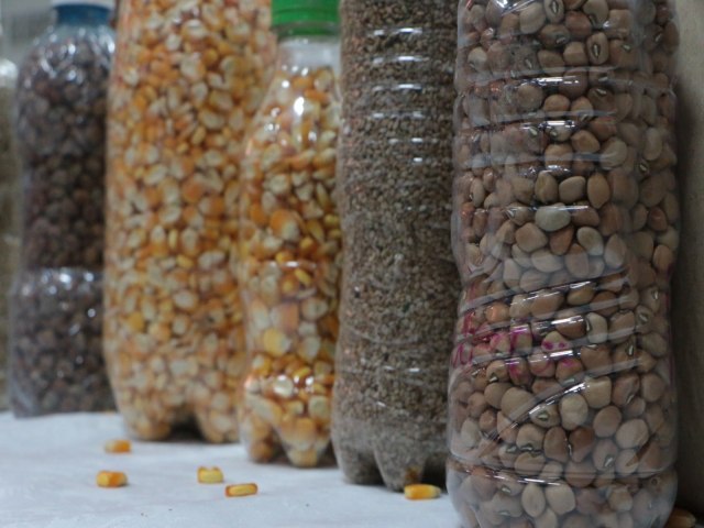 Programa Estadual de Sementes Crioulas distribuir mais de 38 toneladas de sementes em 2024