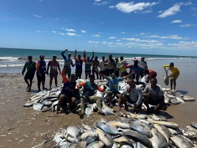 PESCADORES CAPTURAM 7 TONELADAS DE PEIXES NO LITORAL NORTE DO RN