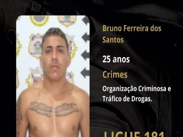 Operao Brao Direito: Polcia Civil prende foragido e integrante de faco criminosa por trfico de drogas em Acari