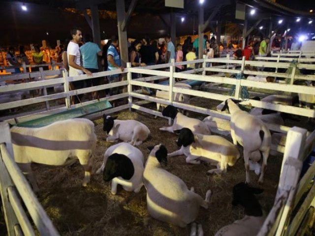 Batista Lima e Magnficos so as atraes nesta sexta-feira na Festa do Bode