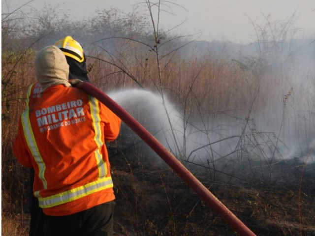 Bombeiros do RN atendem 24 ocorrncias de incndio em vegetao no fim de semana