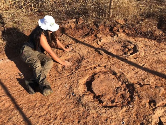 Pesquisadores da UFRN descobrem novas pegadas de dinossauro que viveu h mais de 100 milhes de anos