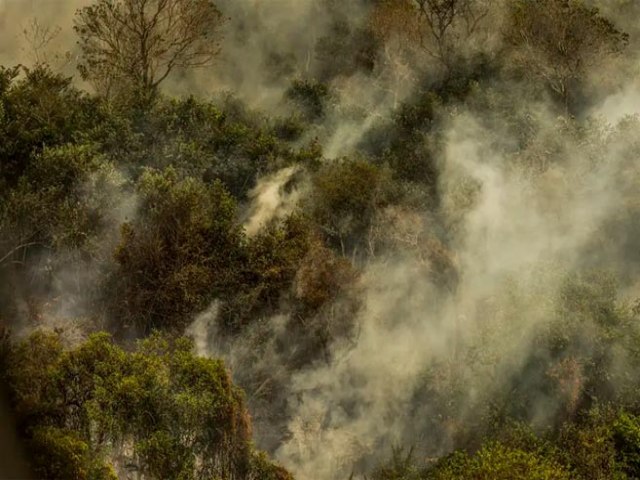 Rondnia declara situao de emergncia por incndios florestais