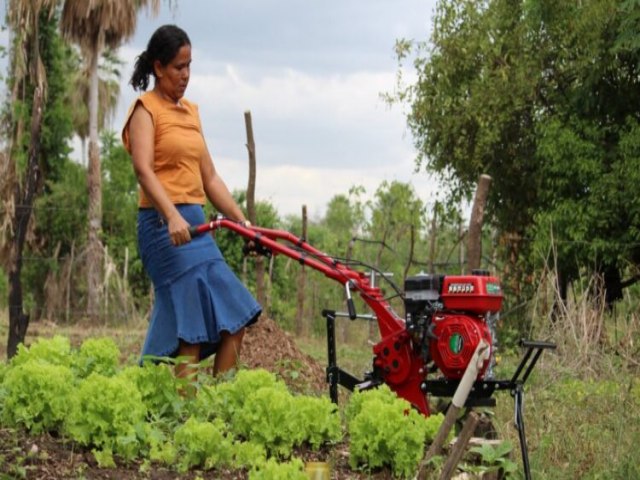 Plano Safra da Agricultura Familiar 2024/2025 ser lanado no RN