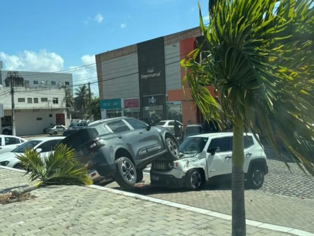 Motorista invade calada, derruba coqueiro e termina em cima de outro carro na Ayrton Senna