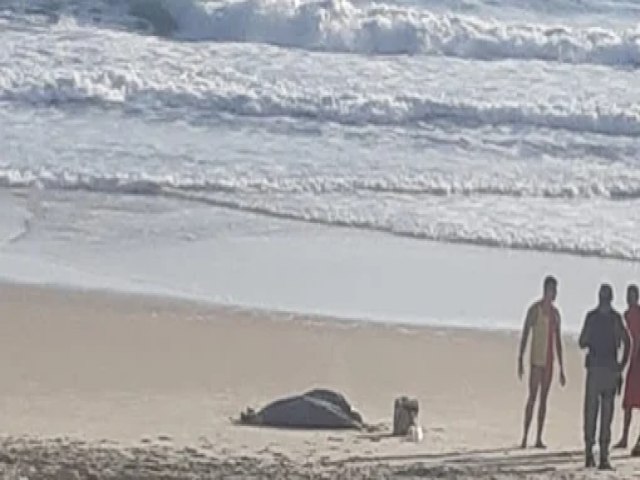 Corpo  encontrado em praia de Natal