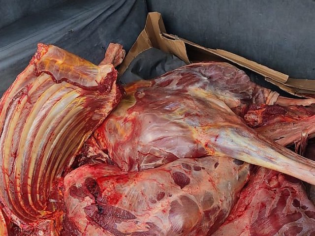 Homens so presos com quase 200 kg de carne e carcaa de jumento em Pernambuco